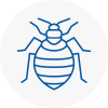 Bed Bug Extermination In Congleton